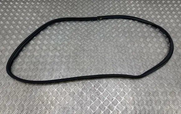 Mitsubishi Space Star Front door rubber seal 