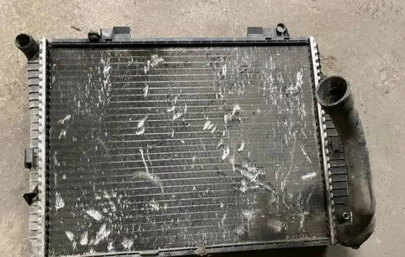 Mercedes-Benz E W210 Coolant radiator 2134611712