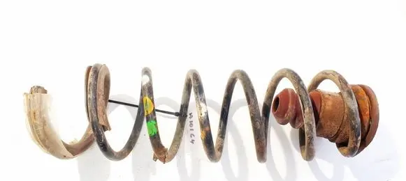 Rear coil spring