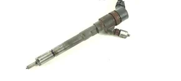 Hyundai Santa Fe Fuel injector 0445110254 3380027800