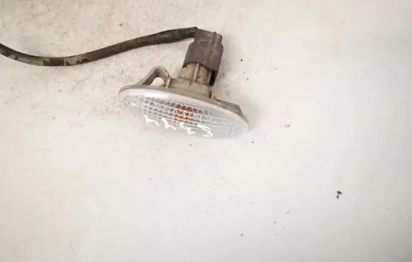 Front fender indicator light