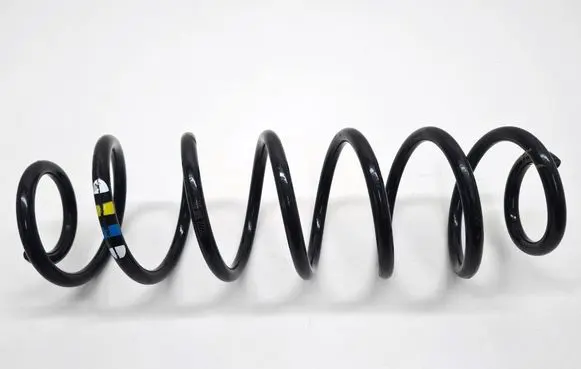 Rear coil spring