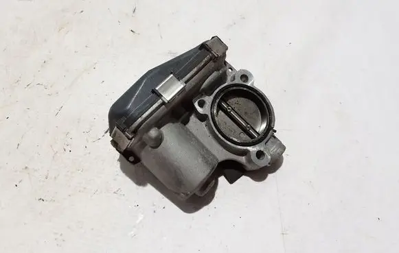 EGR valve
