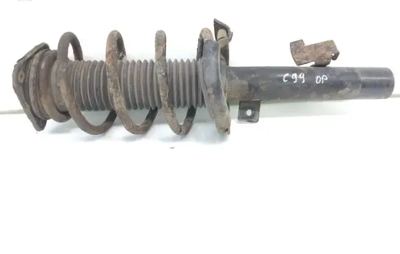 Front shock absorber with coil spring