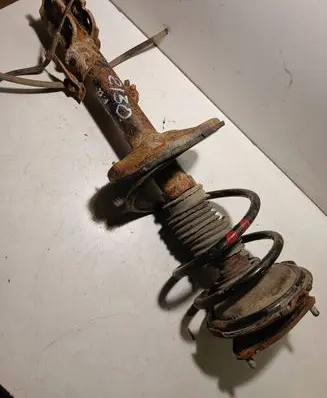 Toyota RAV 4 (XA20) Front shock absorber/damper