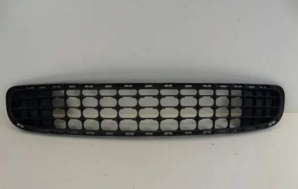 Mini Cooper Countryman R60 Front bumper lower grill 11460913