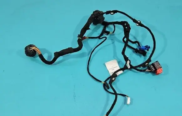 Front door wiring loom