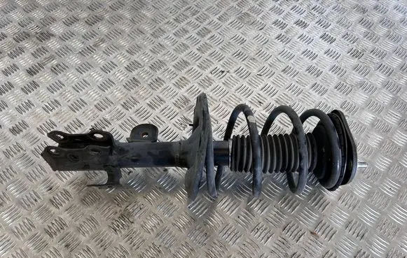 Toyota Mirai Front shock absorber with coil spring 4852062010