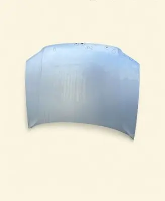Volkswagen PASSAT B5.5 Engine bonnet/hood 