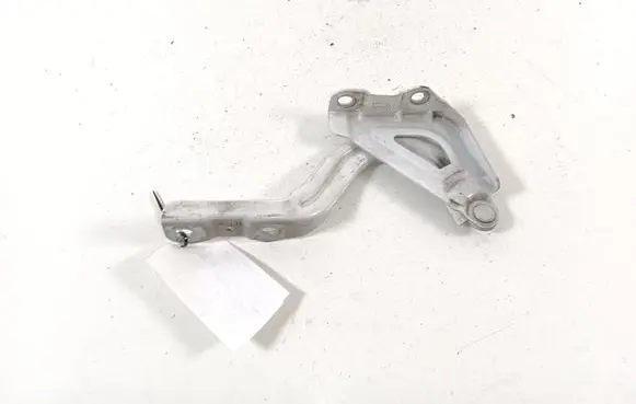 Hyundai Ioniq Engine bonnet/hood hinges 79110G2000