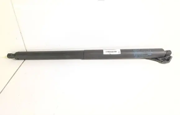 Tailgate/trunk strut/damper