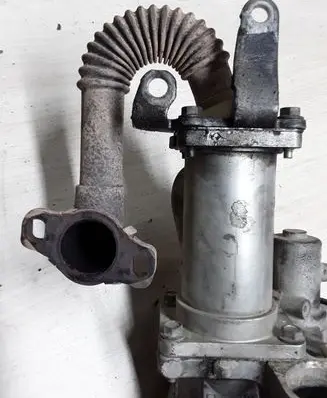 EGR valve cooler
