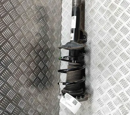 Audi Q4 Sportback e-tron Front shock absorber/damper 1EA412021EF