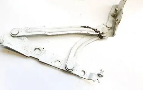 Tailgate/trunk/boot hinge