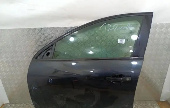 Opel Insignia A Front door
