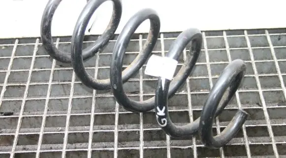 Tesla Model 3 Rear coil spring 104447204A