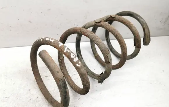 Rear coil spring