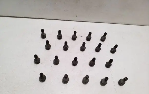 Fiat 500L Nuts/bolts 