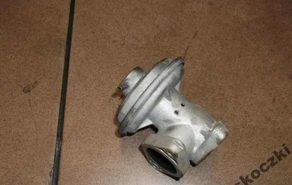 EGR valve