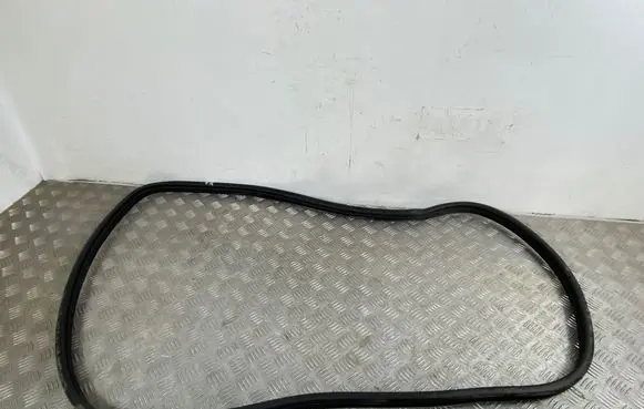KIA EV6 Front door rubber seal
