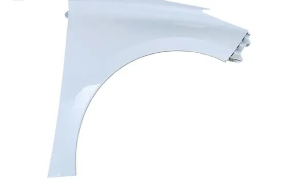 Renault Zoe Fender 