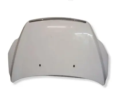 Ford Focus Engine bonnet/hood 