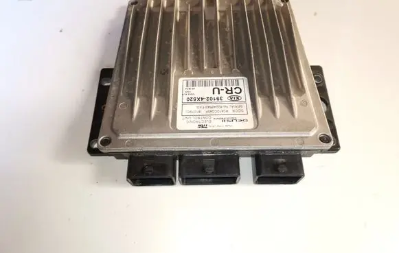 KIA Carnival Engine control unit/module 391024X520