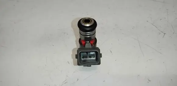 Volkswagen Golf IV Fuel injector 036031C