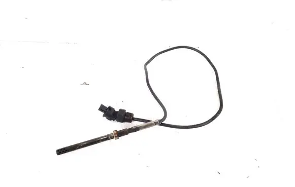 Exhaust gas temperature sensor
