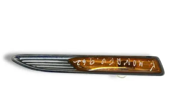 Front fender indicator light