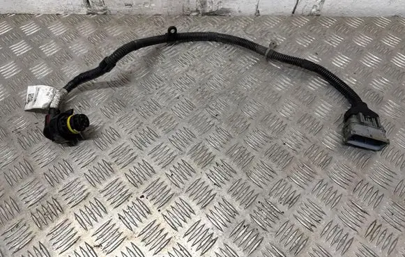 Alfa Romeo Giulia Other wiring loom 00505455530