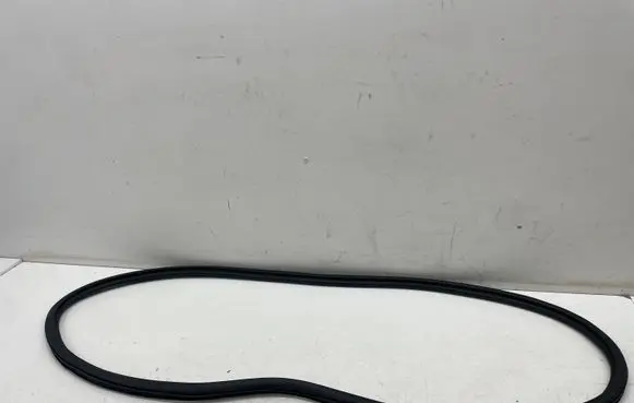 Rear door rubber seal (on body)