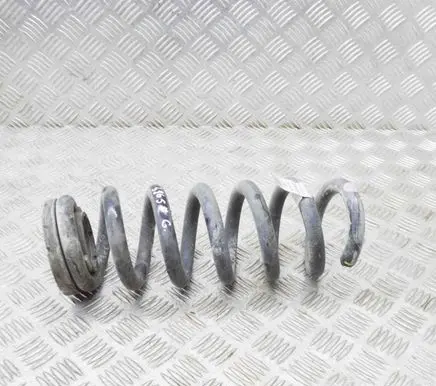 Ford Mustang Mach-E Rear coil spring LJ9C5560ANE