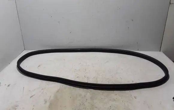 Dacia Sandero III Rear door rubber seal (on body) 769249935R