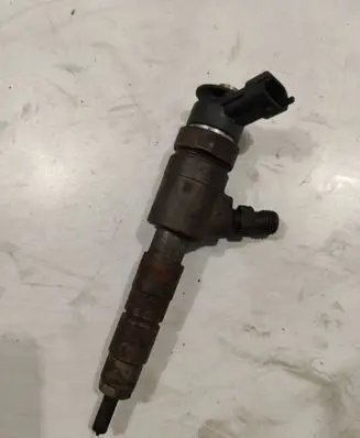 Citroen C3 Picasso Fuel injector 0445110340