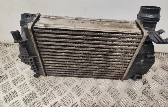 Nissan Qashqai Intercooler radiator 144614EB0A
