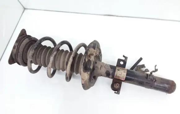 Nissan Qashqai Front shock absorber with coil spring 543024EA7C