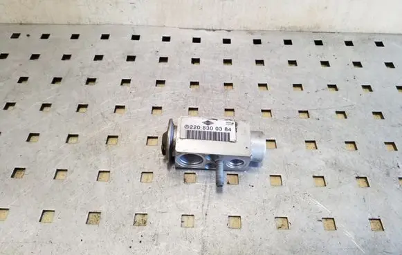 Mercedes-Benz A W169 Air conditioning (A/C) expansion valve 2208300384