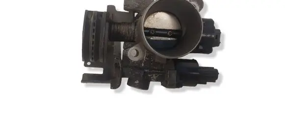 Throttle body valve