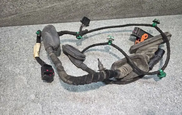 Volkswagen Touran I Front door wiring loom 1T0971121L