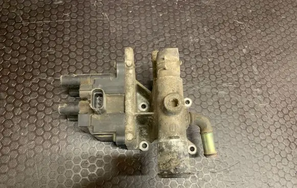 Thermostat/thermostat housing