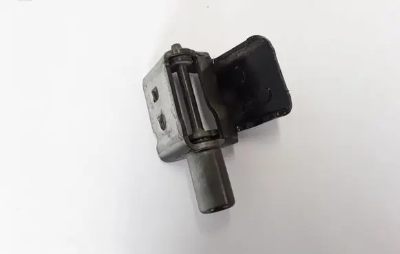 Renault Zoe Rear door lower hinge