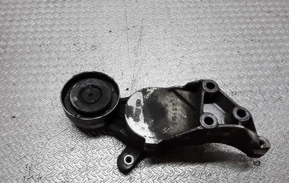 Volkswagen Bora Generator/alternator belt tensioner 04343010001