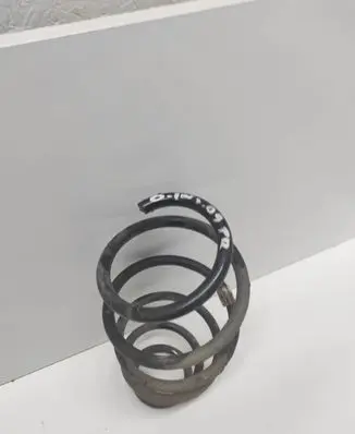 Front coil spring
