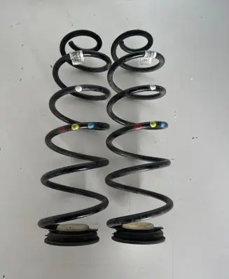 Rear coil spring