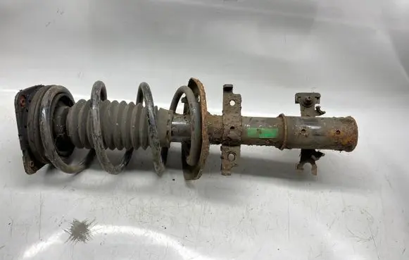 Opel Insignia A Front shock absorber with coil spring
