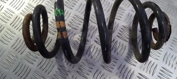 Rear coil spring