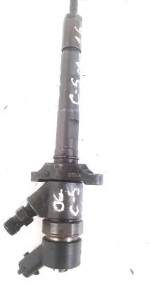 Citroen C5 Fuel injector 0445110259