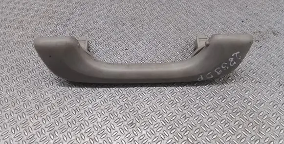 Renault Scenic II - Grand scenic II Front interior roof grab handle