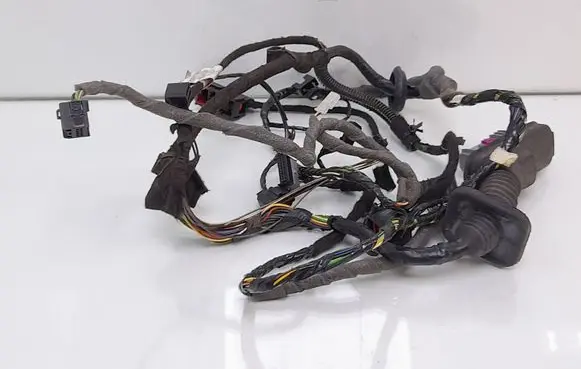 Front door wiring loom